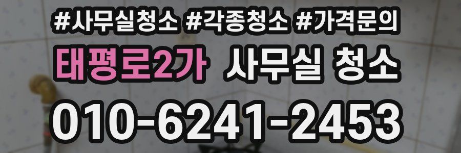 태평로2가 사무실 청소