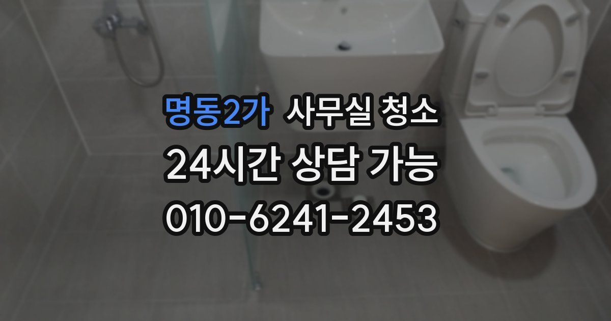 명동2가 사무실 청소