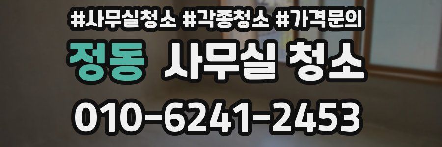 정동 사무실 청소