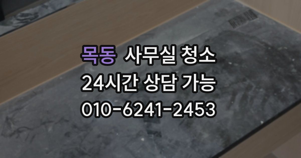 목동 사무실 청소
