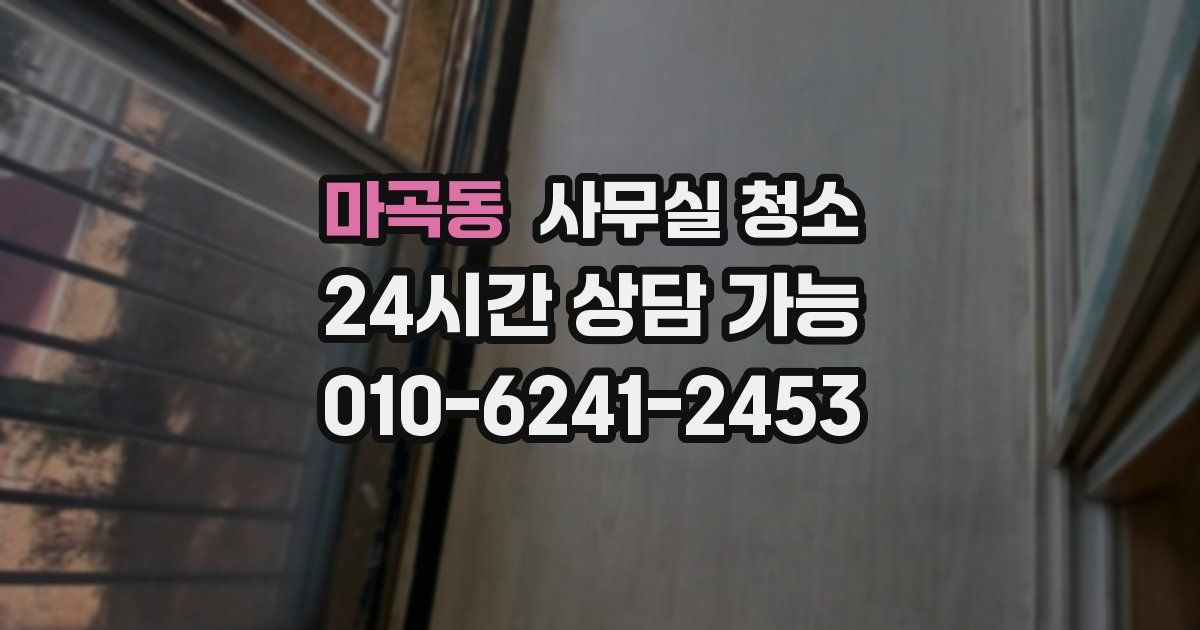 마곡동 사무실 청소