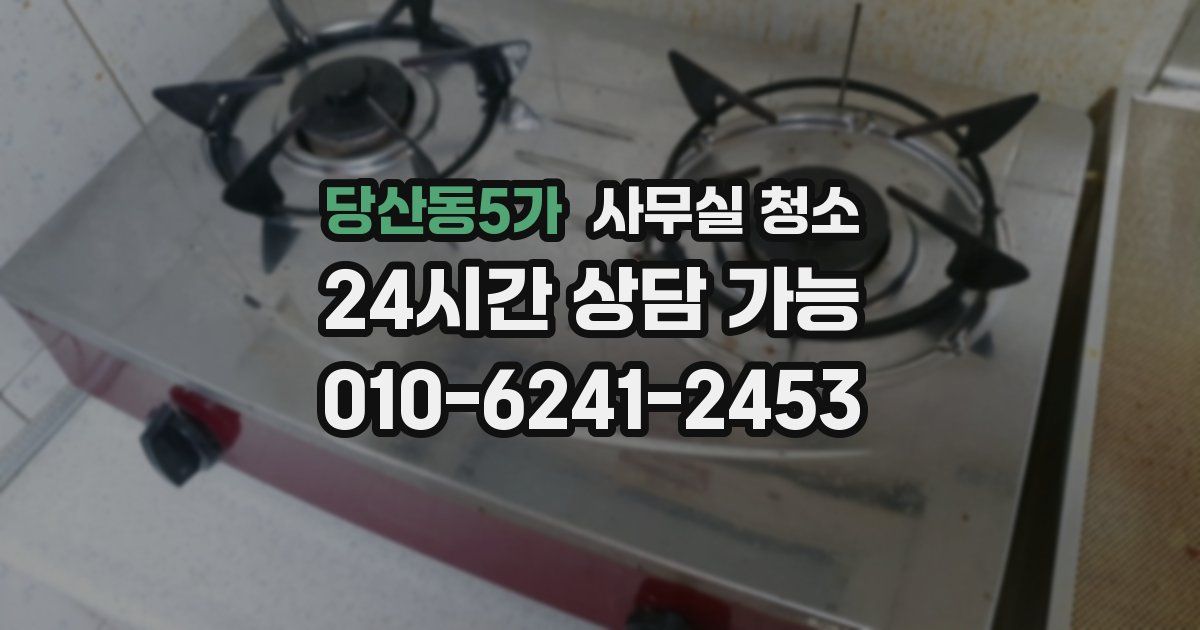 당산동5가 사무실 청소