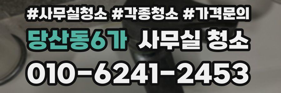 당산동6가 사무실 청소