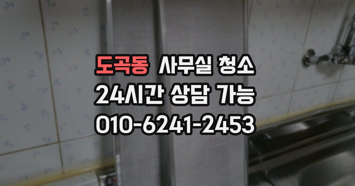 도곡동 사무실 청소