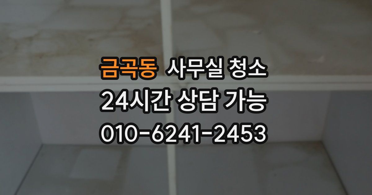 금곡동 사무실 청소