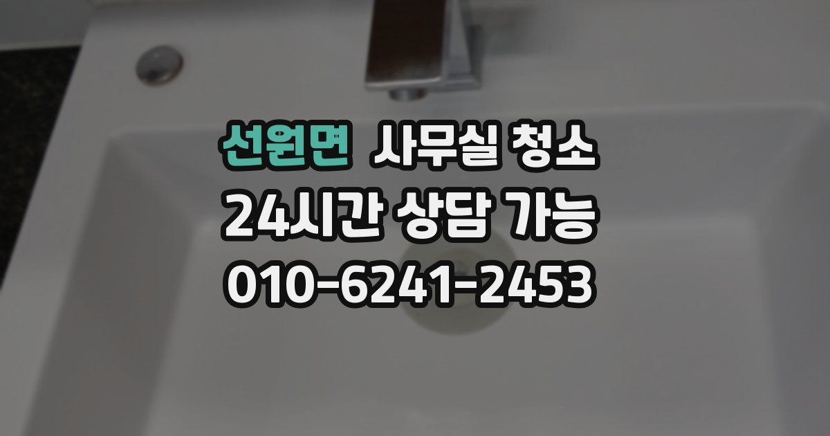 선원면 사무실 청소