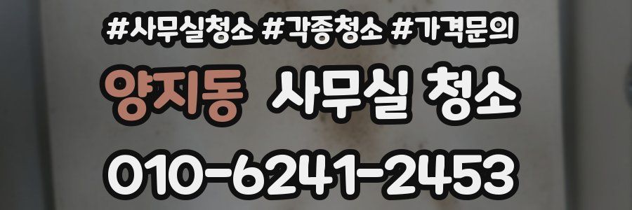 양지동 사무실 청소