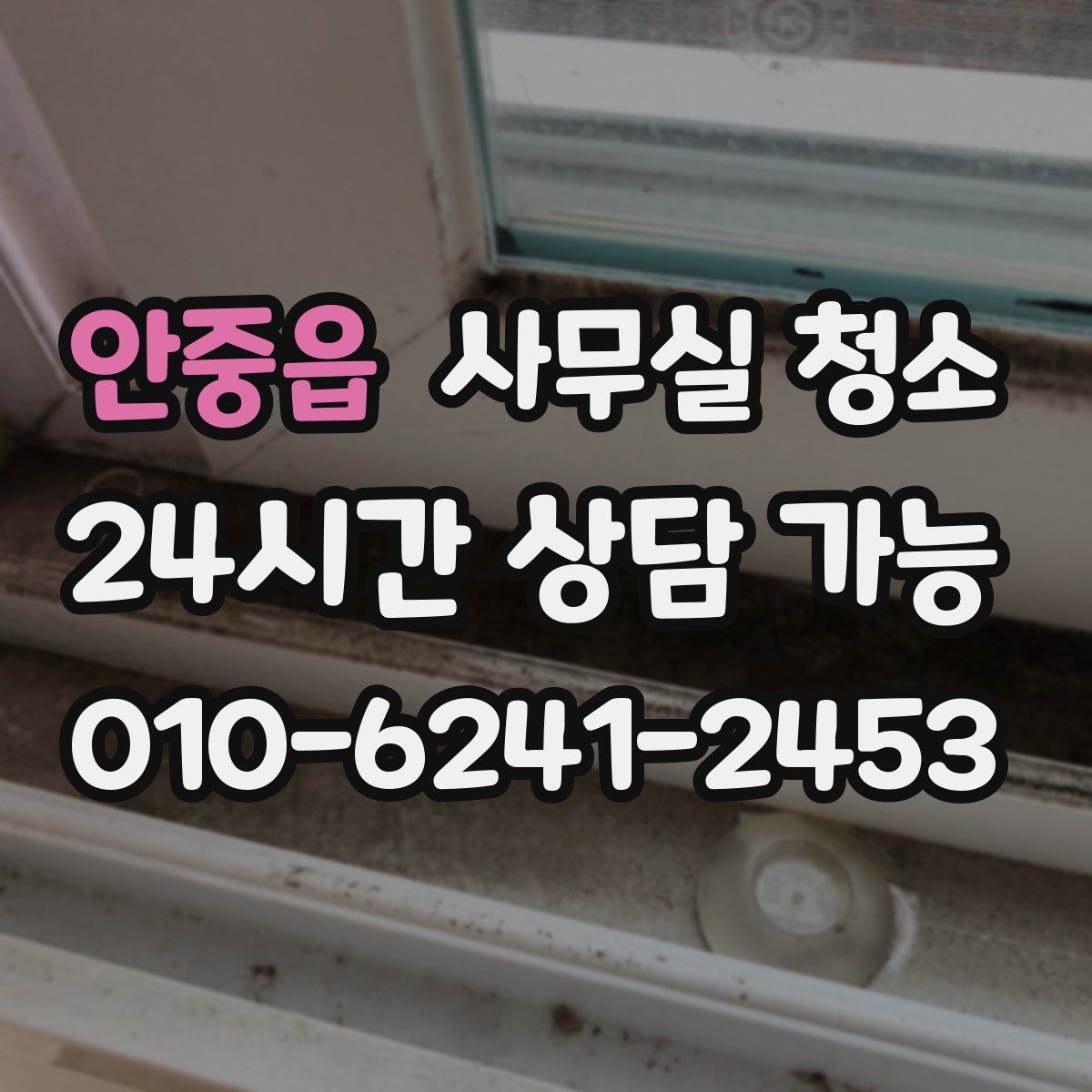 안중읍 사무실 청소
