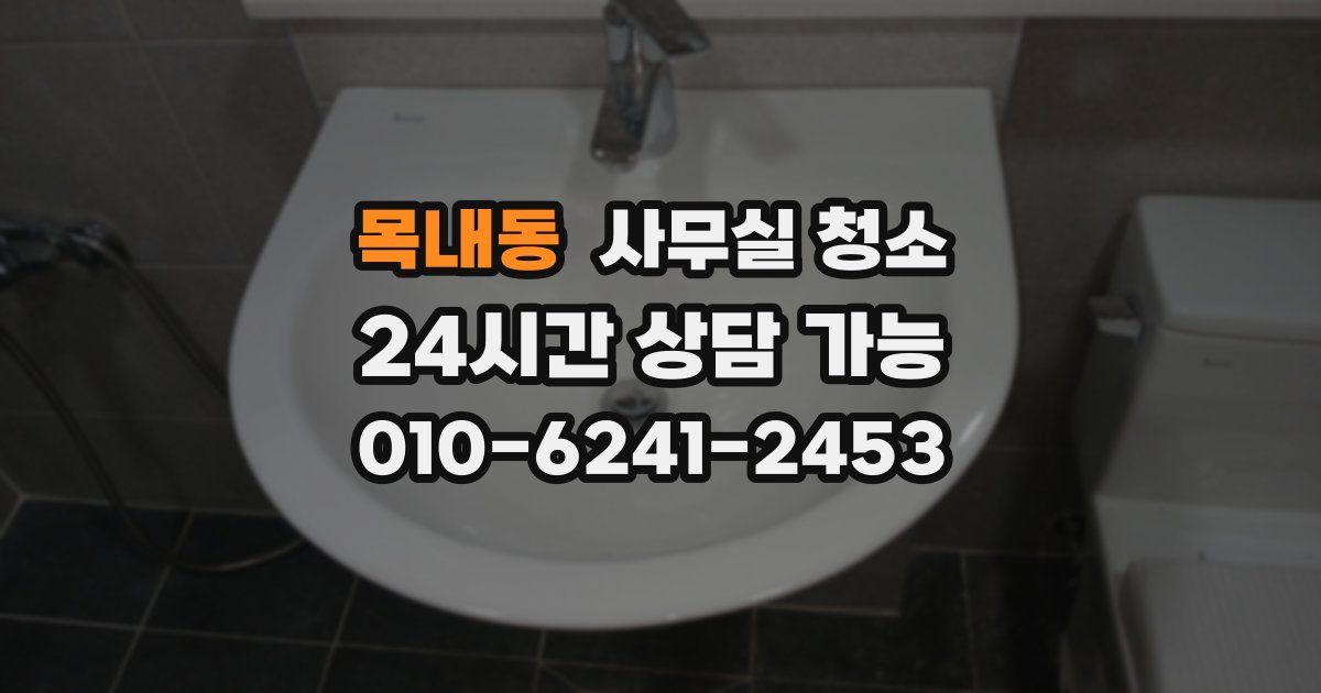 목내동 사무실 청소