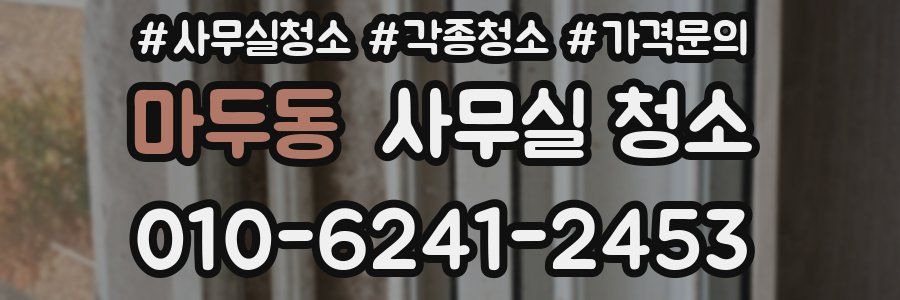 마두동 사무실 청소
