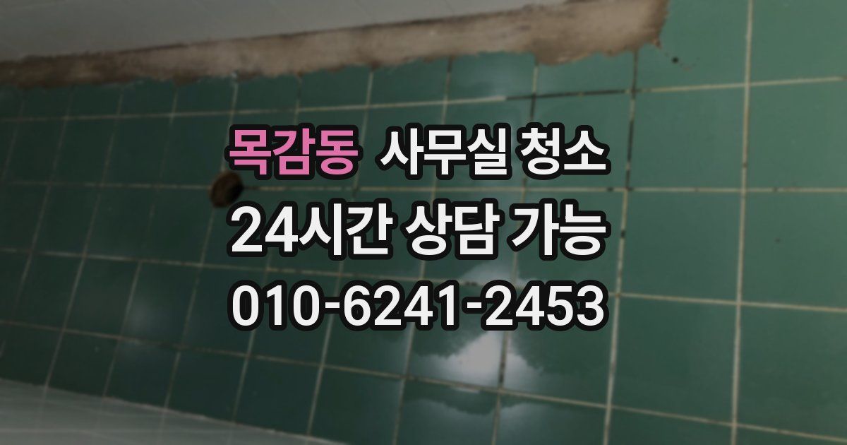 목감동 사무실 청소
