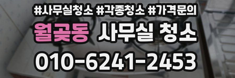 월곶동 사무실 청소