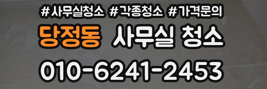 당정동 사무실 청소