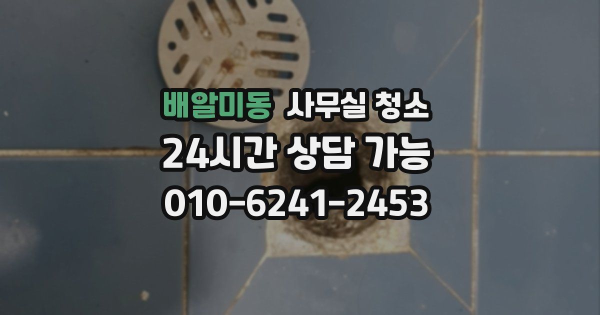 배알미동 사무실 청소