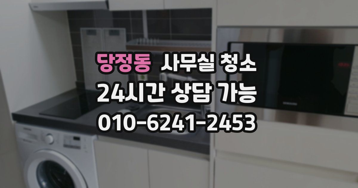 당정동 사무실 청소
