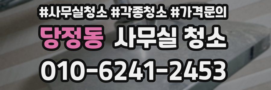 당정동 사무실 청소