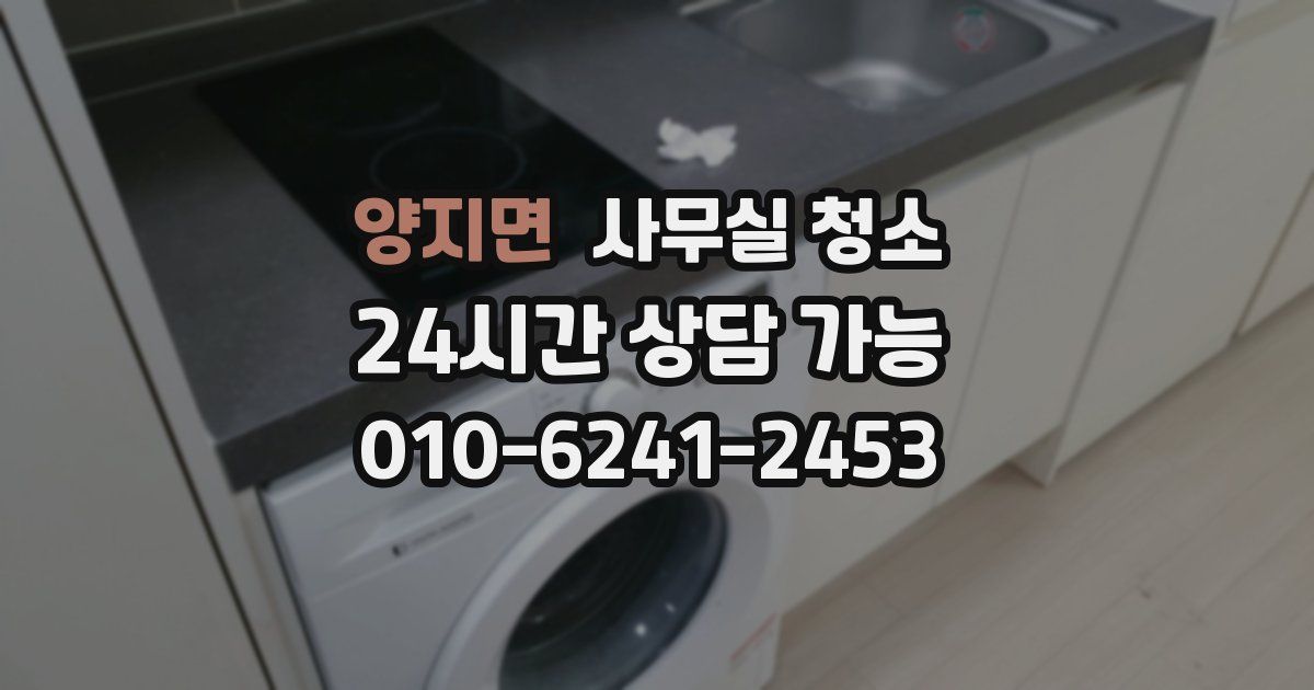 양지면 사무실 청소