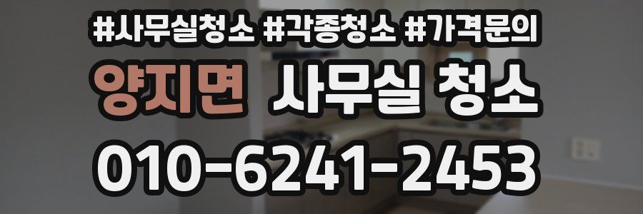 양지면 사무실 청소