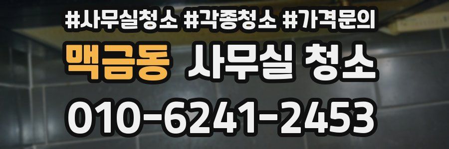 맥금동 사무실 청소
