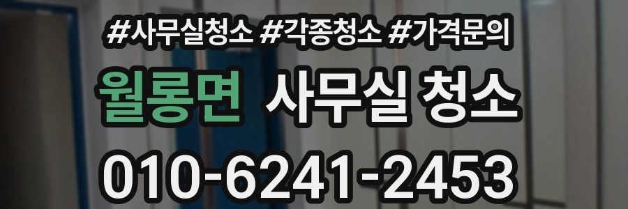 월롱면 사무실 청소