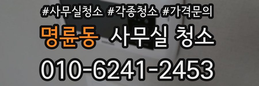 명륜동 사무실 청소