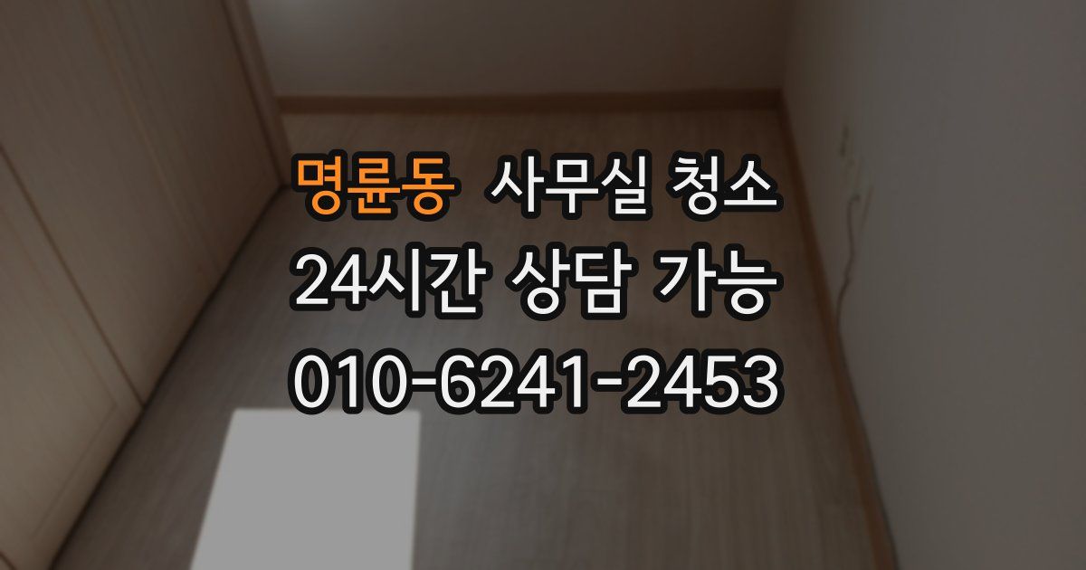 명륜동 사무실 청소