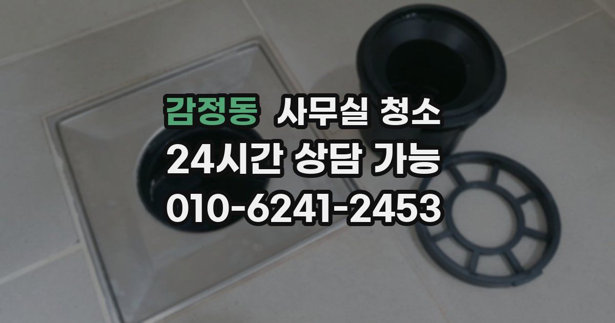 감정동 사무실 청소