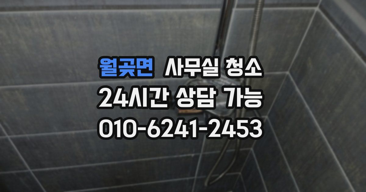 월곶면 사무실 청소