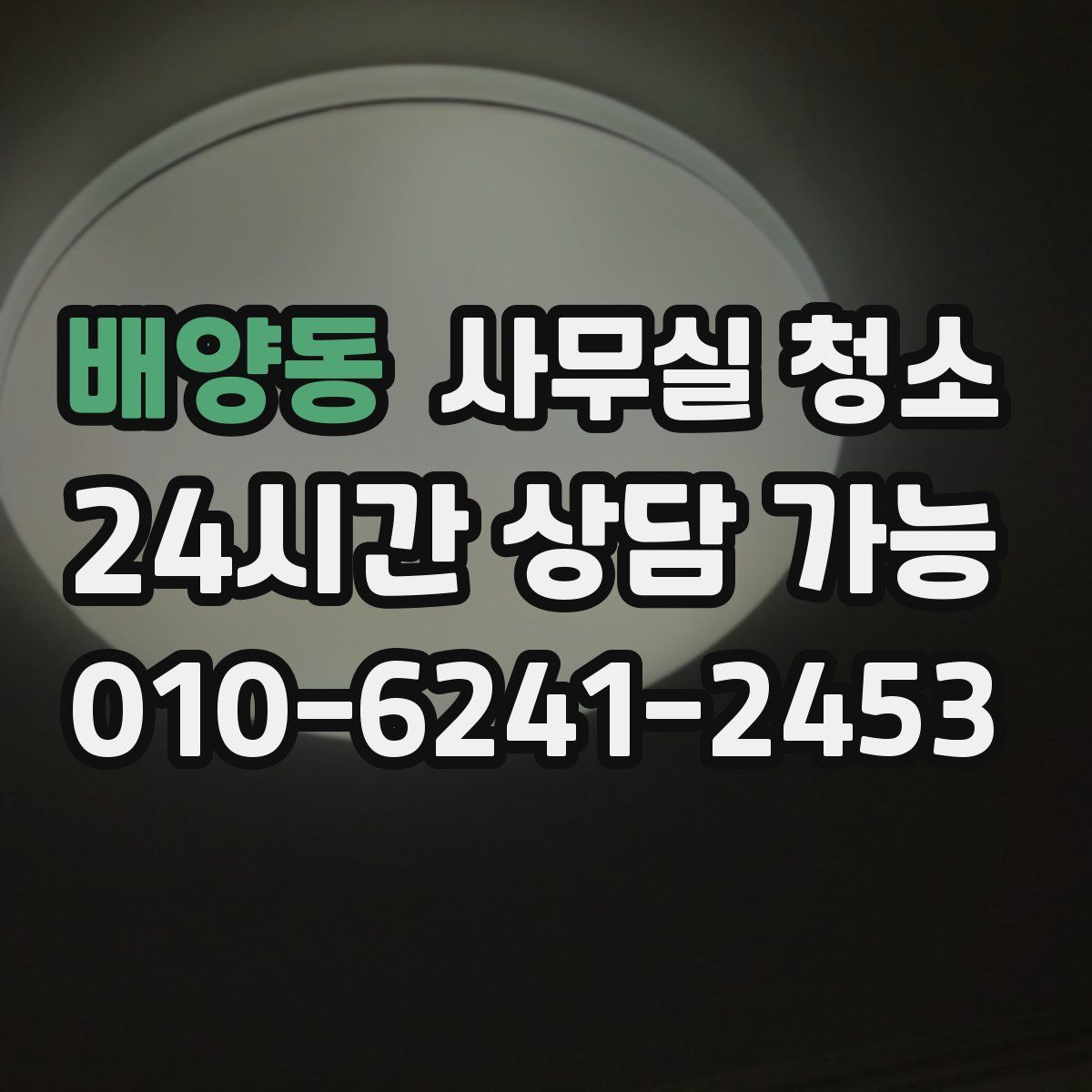 배양동 사무실 청소