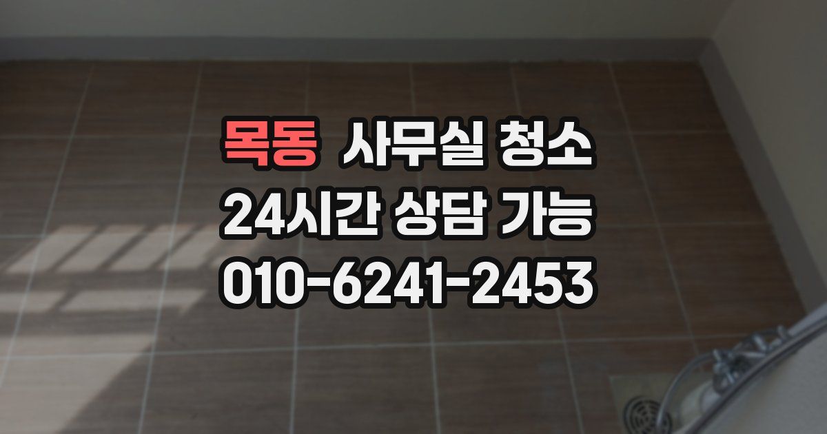 목동 사무실 청소