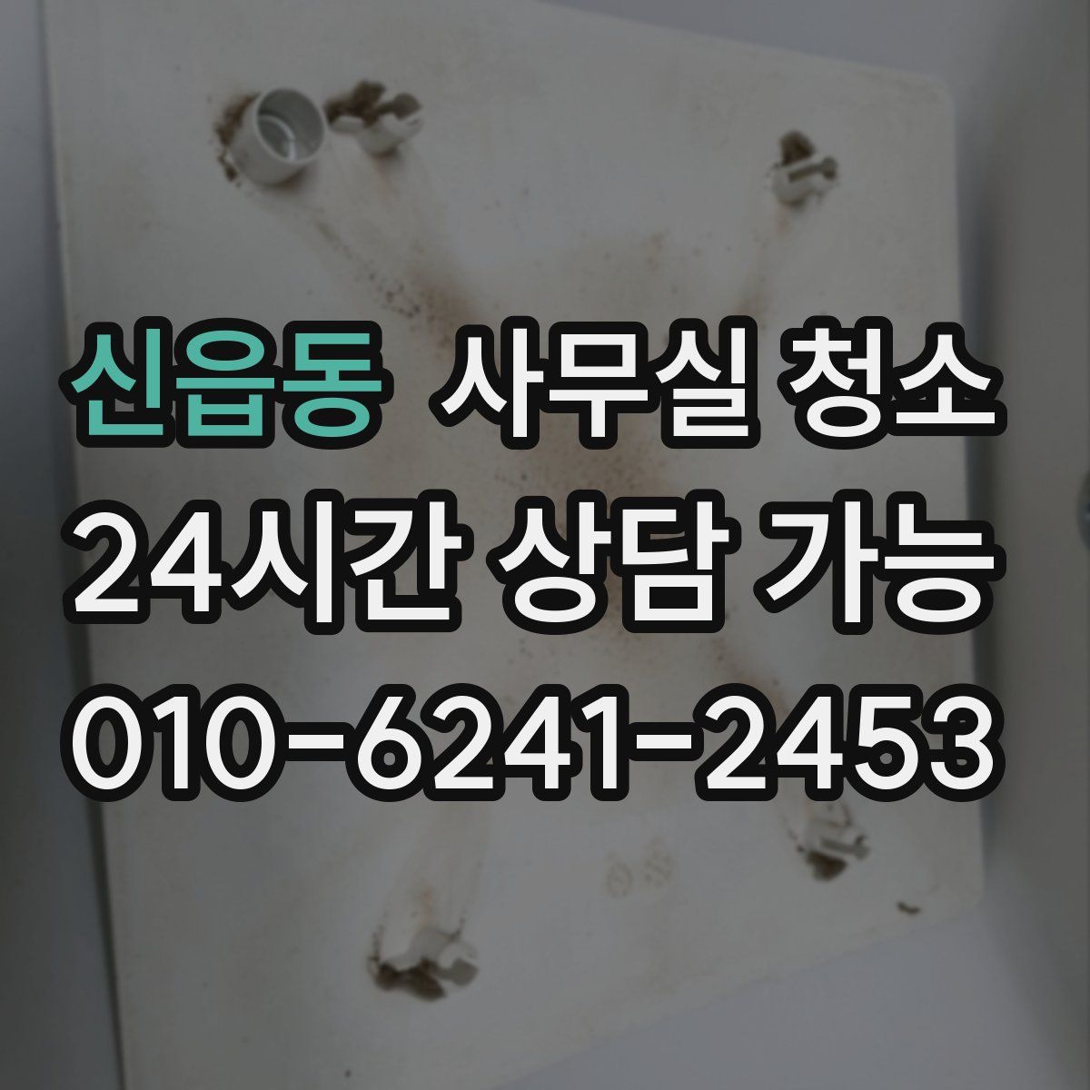신읍동 사무실 청소