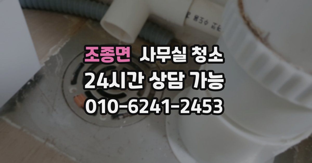조종면 사무실 청소