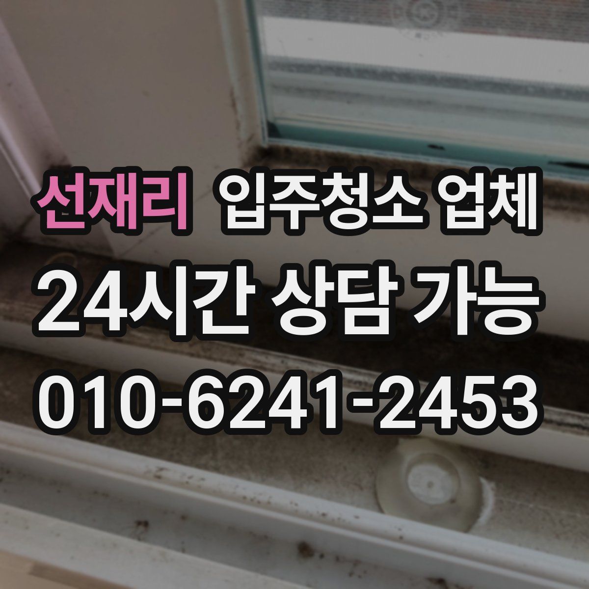선재리 입주청소 업체