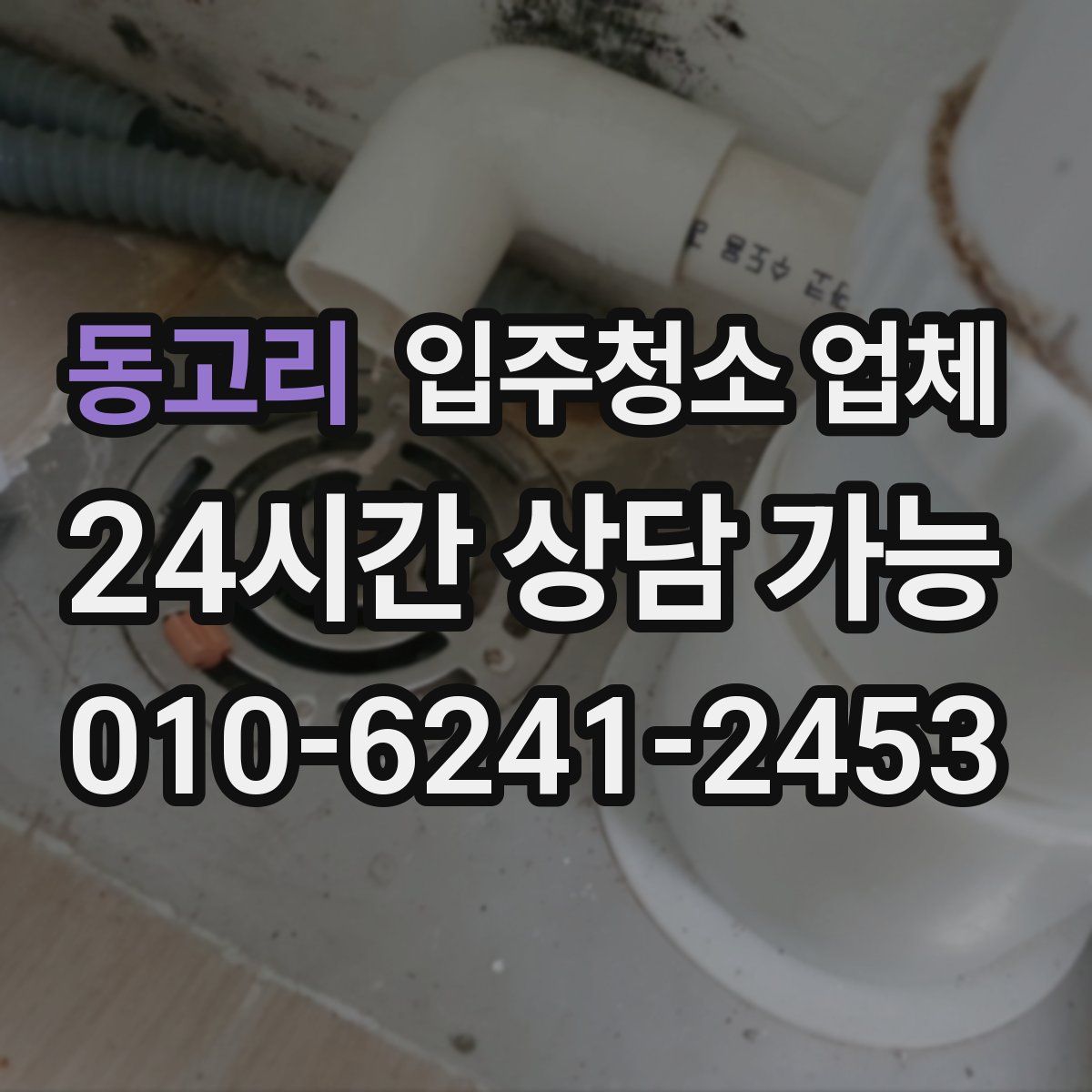 동고리 입주청소 업체