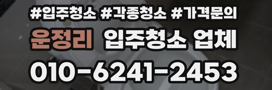 운정리 입주청소 업체