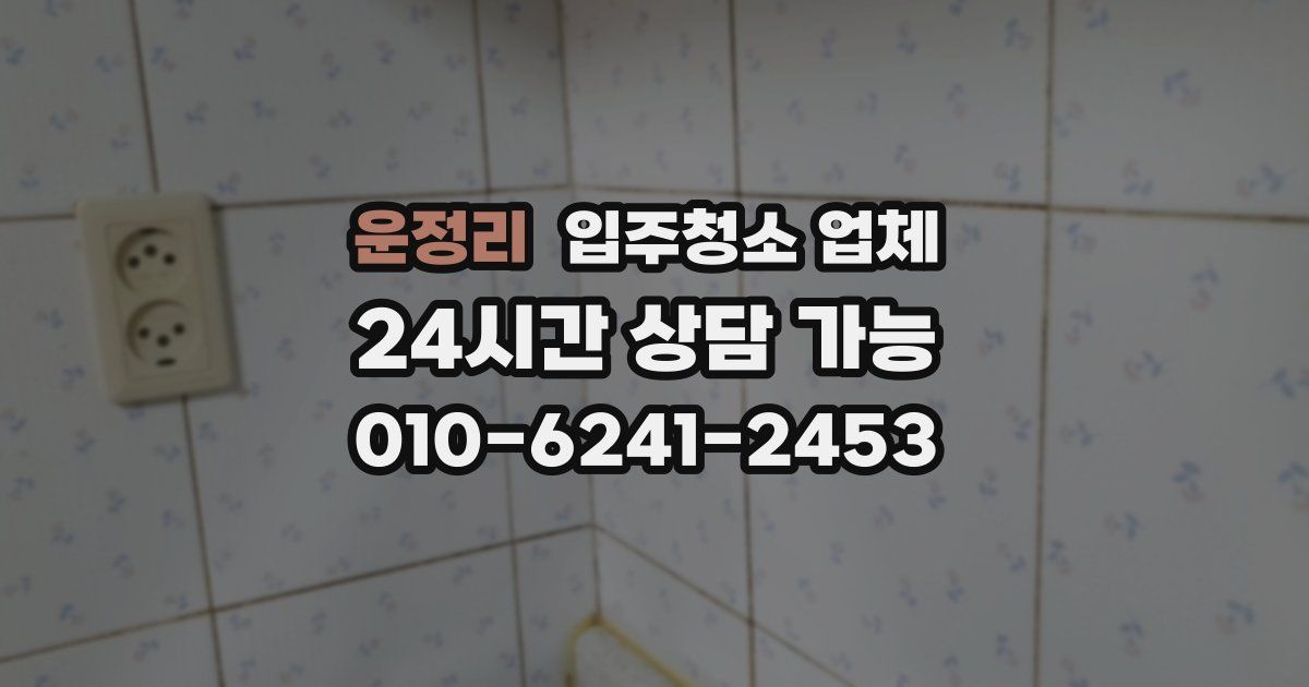 운정리 입주청소 업체