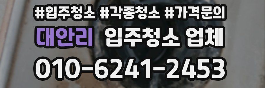대안리 입주청소 업체