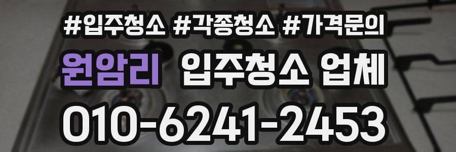 원암리 입주청소 업체