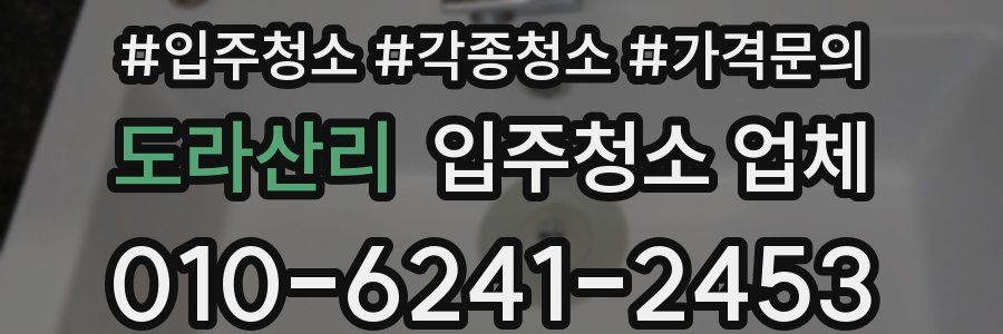 도라산리 입주청소 업체