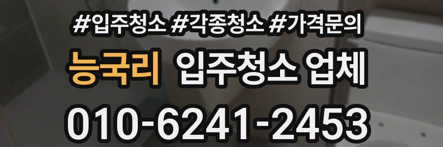 능국리 입주청소 업체