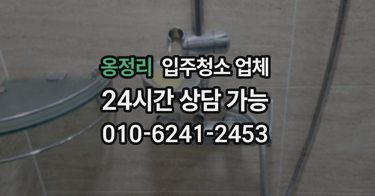 옹정리 입주청소 업체