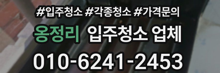 옹정리 입주청소 업체