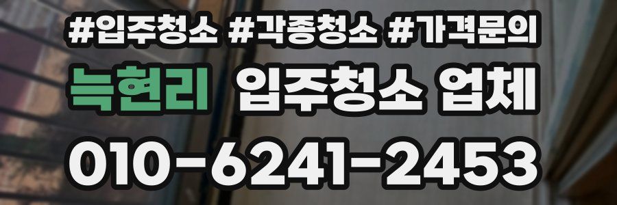 늑현리 입주청소 업체