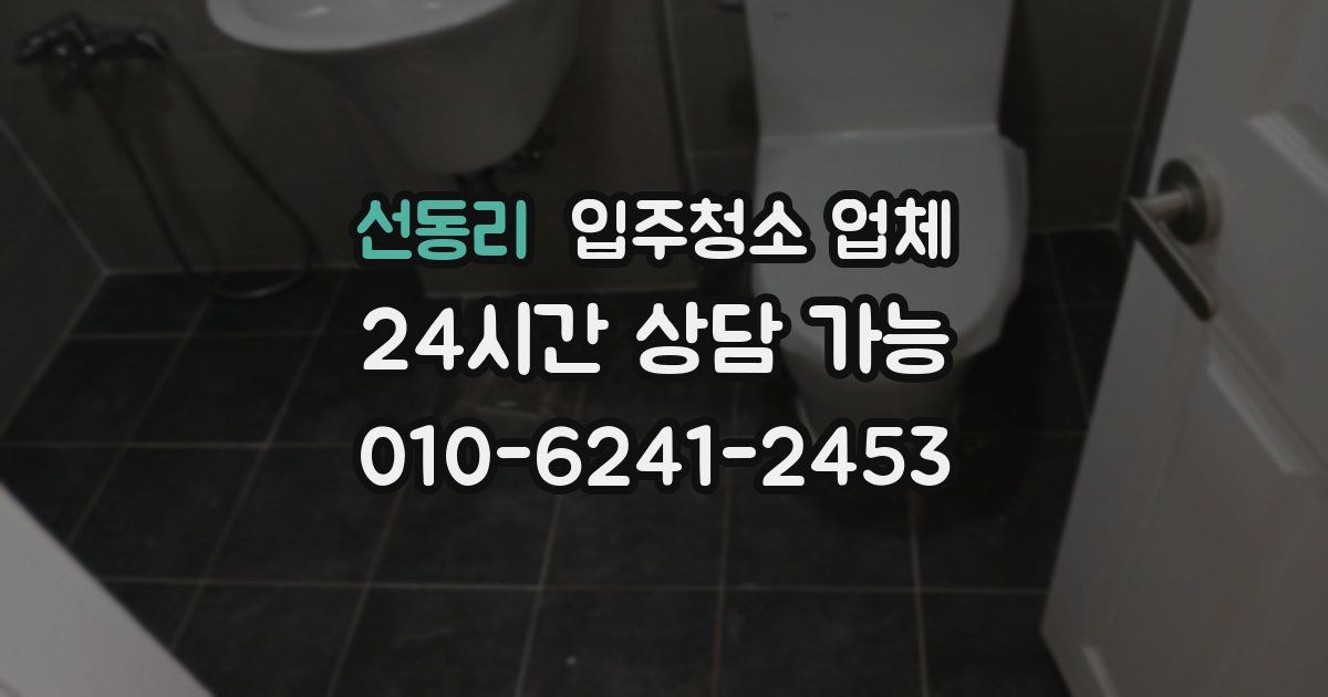 선동리 입주청소 업체