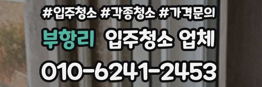 부항리 입주청소 업체