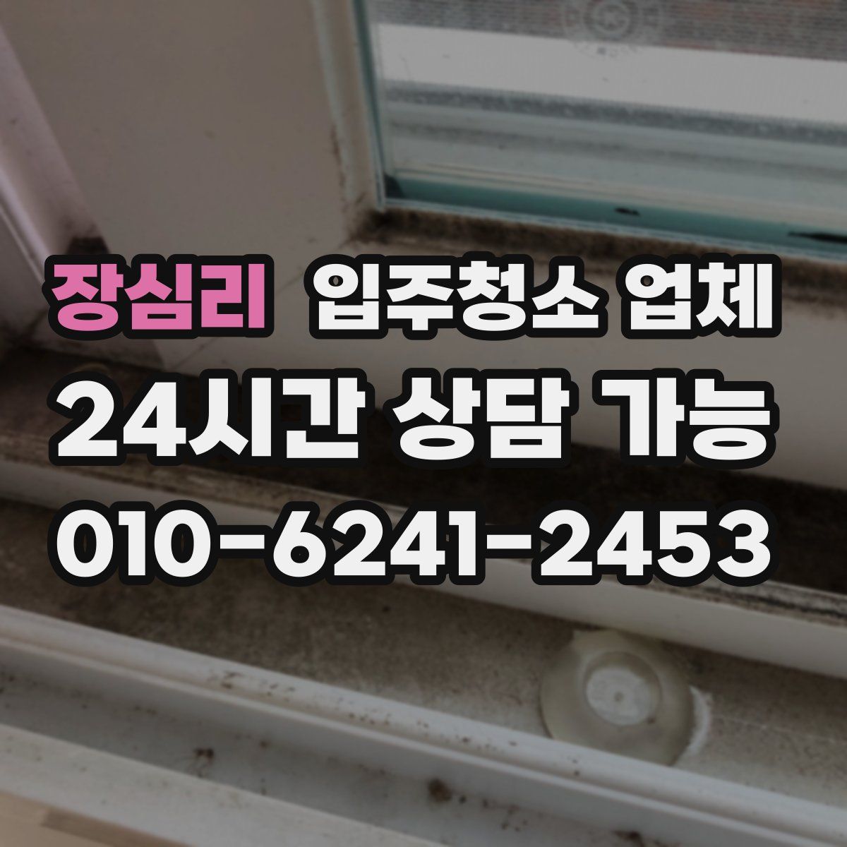 장심리 입주청소 업체