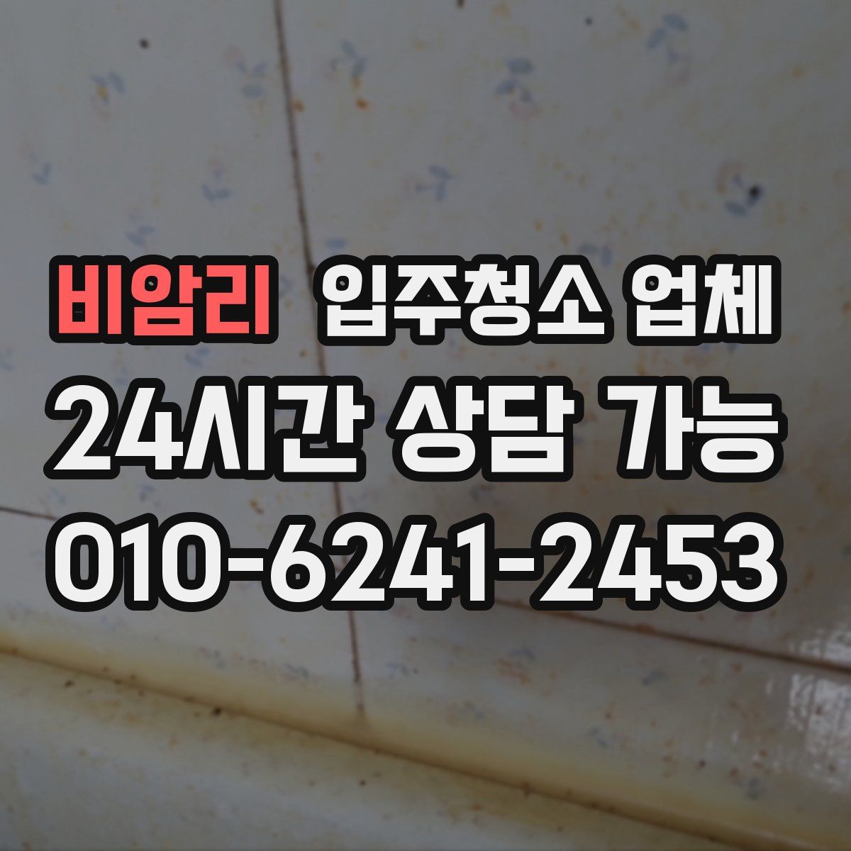 비암리 입주청소 업체