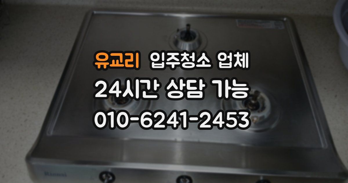 유교리 입주청소 업체