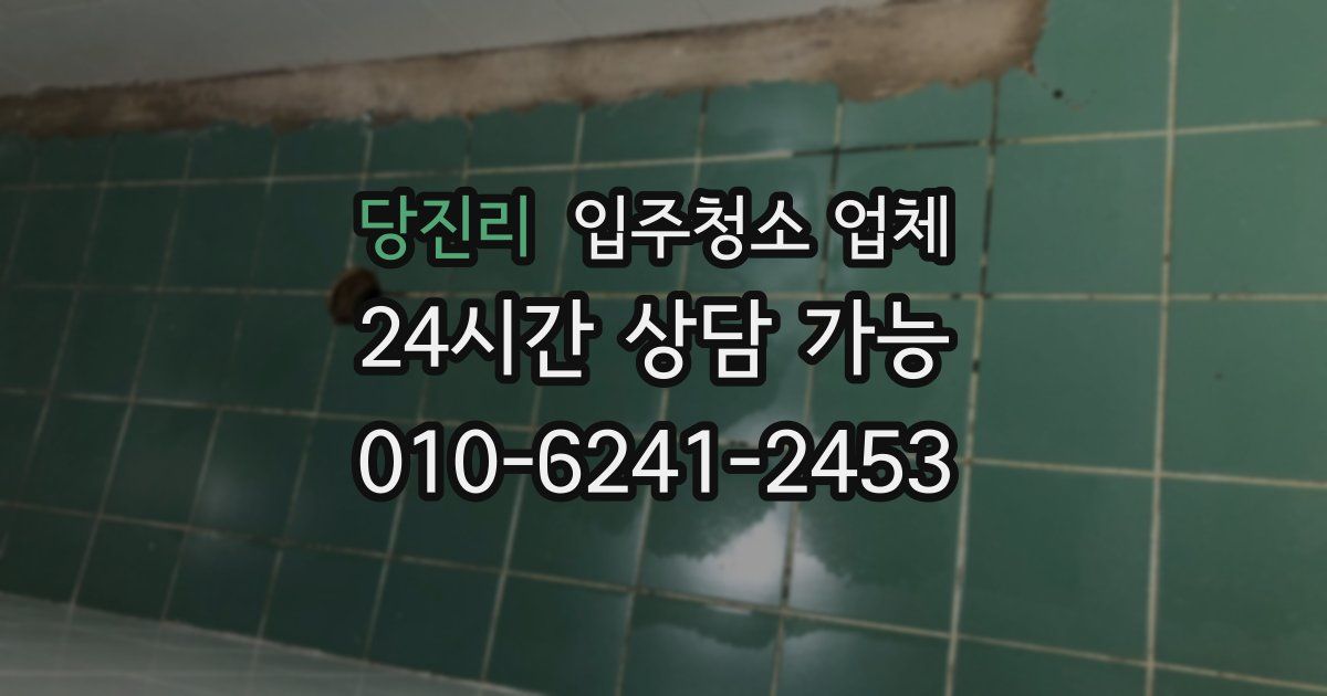 당진리 입주청소 업체