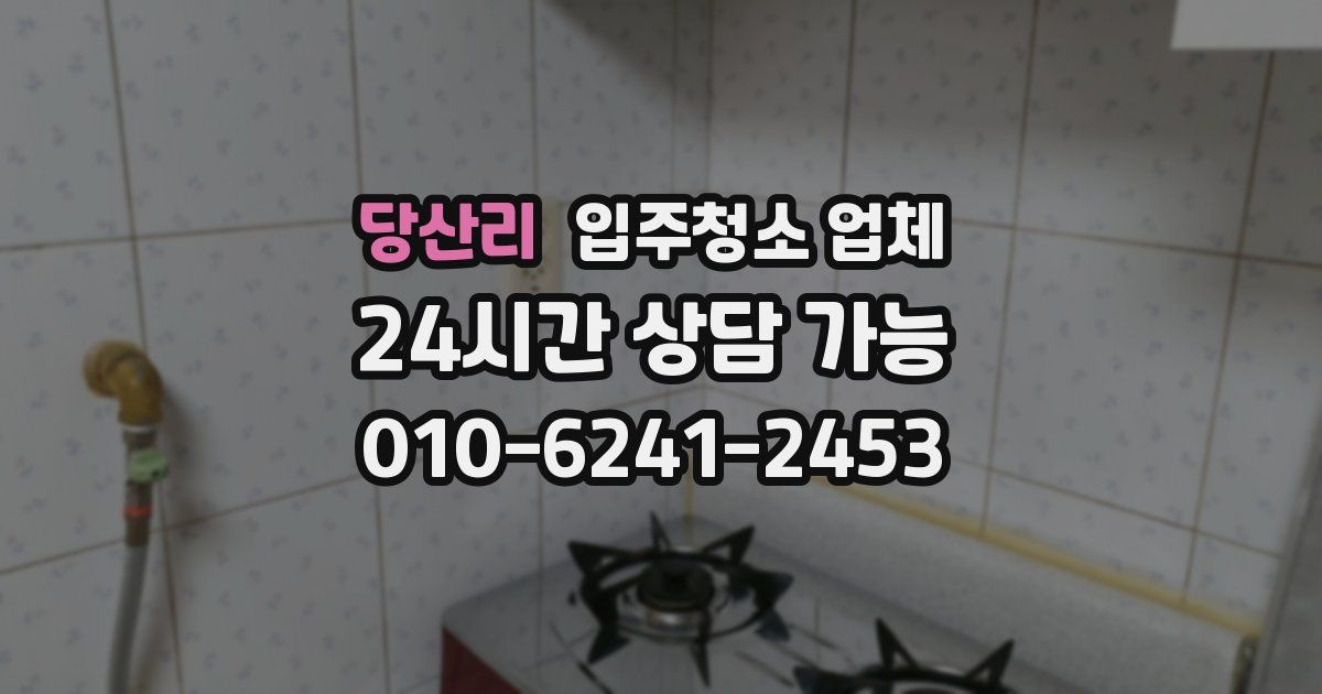 당산리 입주청소 업체